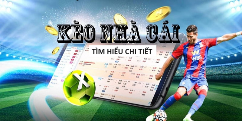 VO88-Tận hưởng ứng dụng Android/IOS ngay hôm nay! VO88-Tận hưởng ứng dụng Android/IOS ngay hôm nay!