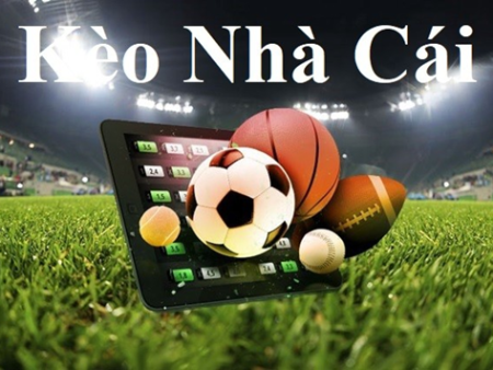Wild.io Cách chơi game bắn cá